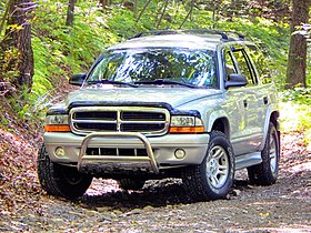 Durango in the woods.jpg